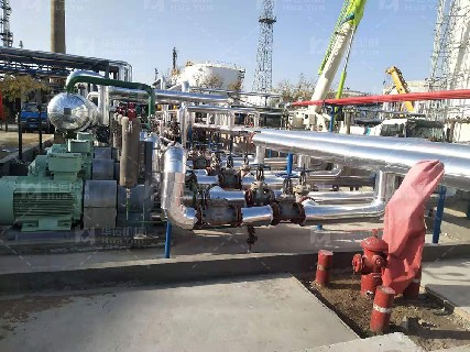 某大型石化集團采購我司數臺大型乳化泵